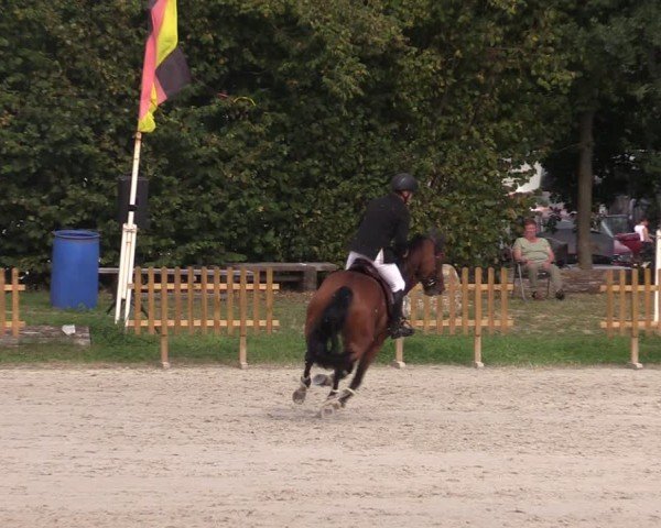 Reitturnier Pietzpuhl 2024