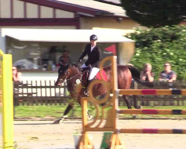 Reitturnier Breiholz "Am Moltkestein" 2024