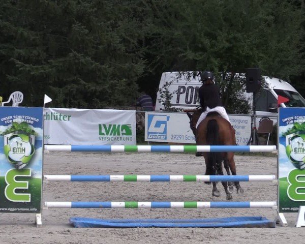 Reitturnier Pietzpuhl 2024