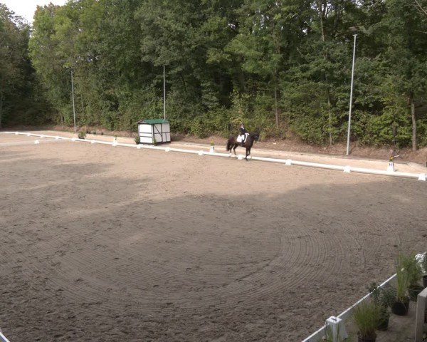 Reitturnier Köln-Flittard (Scheuerhof) 2024