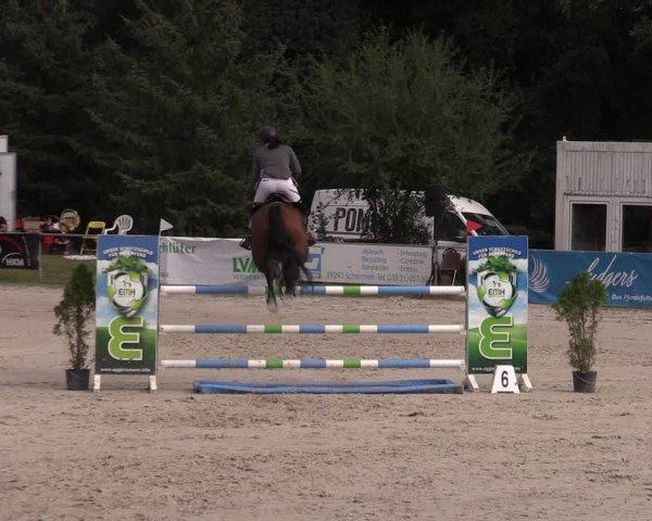 Reitturnier Pietzpuhl 2024
