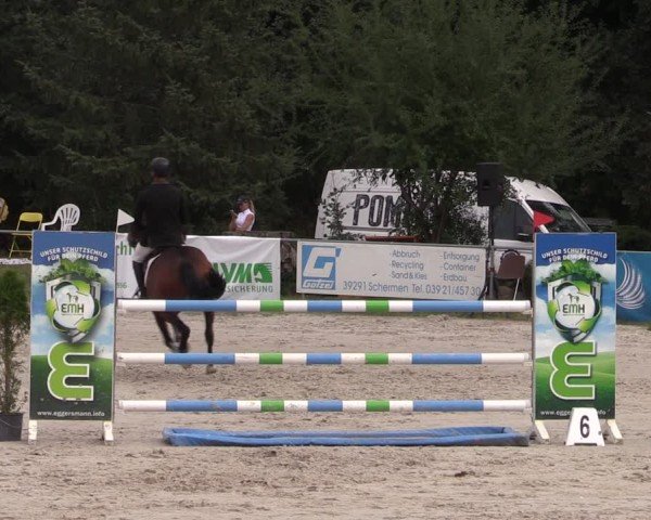 Reitturnier Pietzpuhl 2024