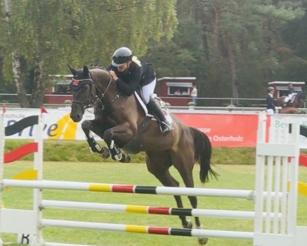 jumper Charlotte A 3 (Hanoverian, 2018, from Cador 5)