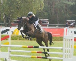 jumper Charlotte A 3 (Hanoverian, 2018, from Cador 5)