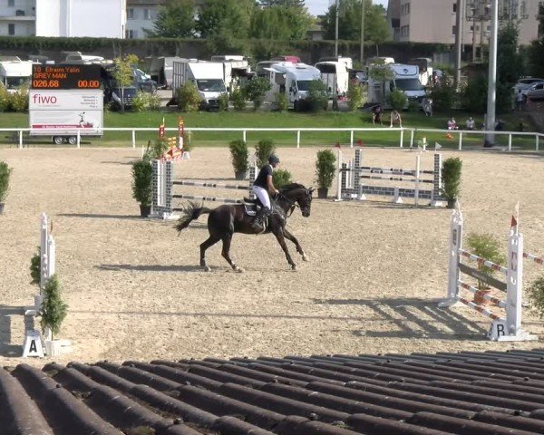 Reitturnier Bülach 2024