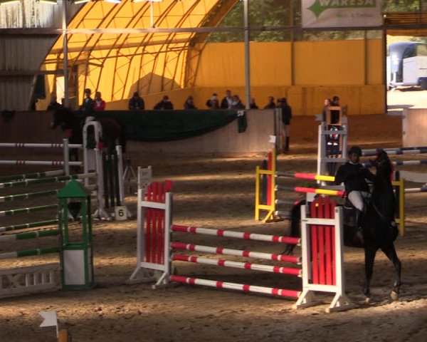 Reitturnier Wollersleben 2021