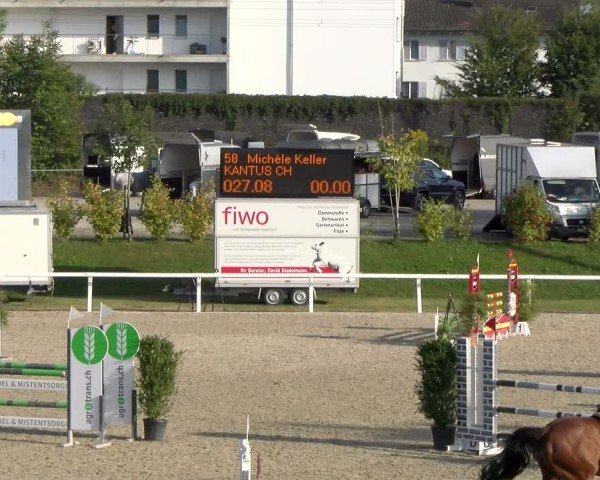 Reitturnier Bülach 2024
