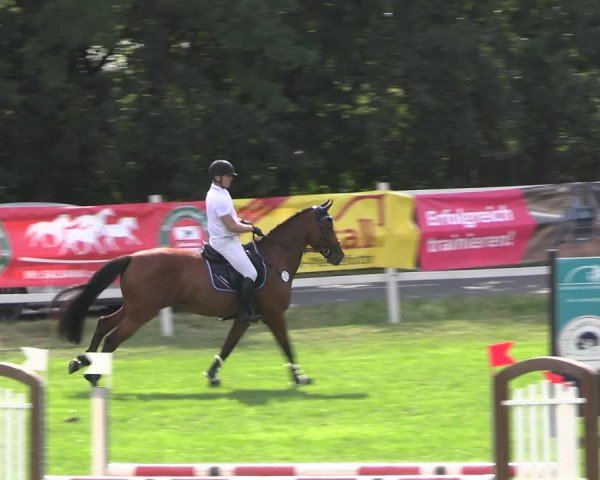 Reitturnier Müncheberg 2024