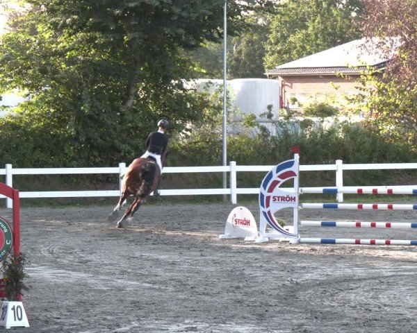 Reitturnier Springturnier Mildstedt 2024