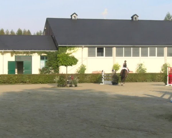 Reitturnier St.Wendel, Gestüt Welvert 2024