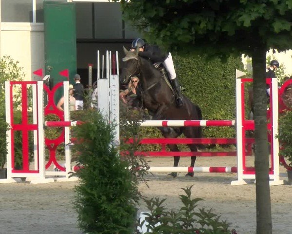 Reitturnier St.Wendel, Gestüt Welvert 2024