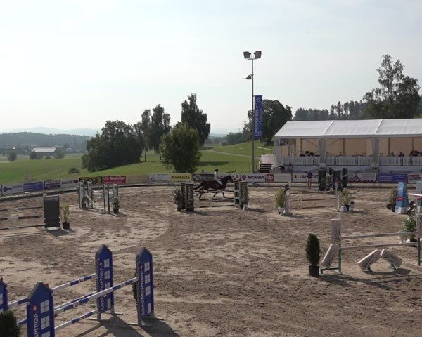 Reitturnier Humlikon 2024