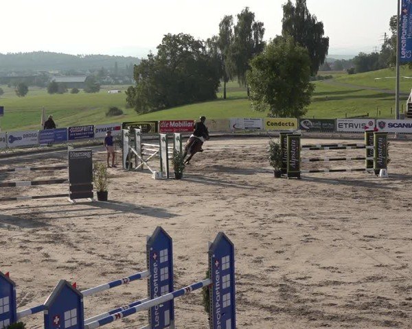 Reitturnier Humlikon 2024