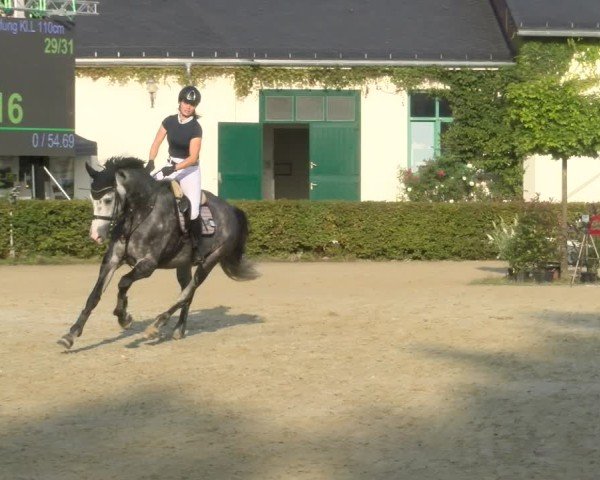 Reitturnier St.Wendel, Gestüt Welvert 2024