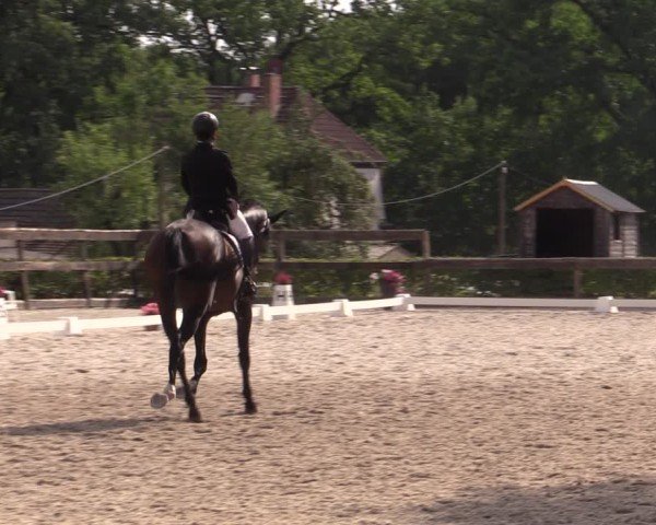 Reitturnier Müncheberg 2024
