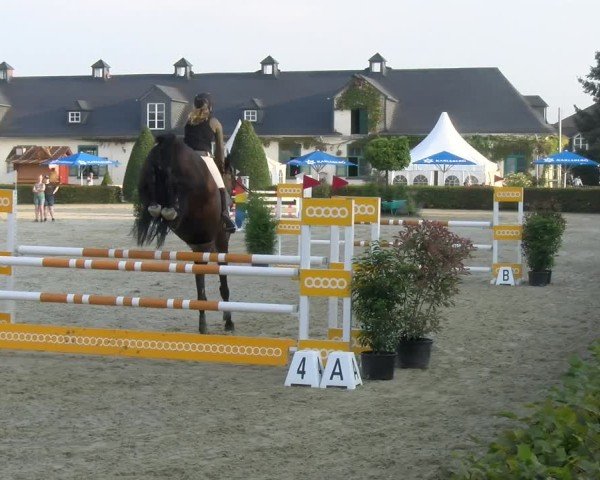 Reitturnier St.Wendel, Gestüt Welvert 2024