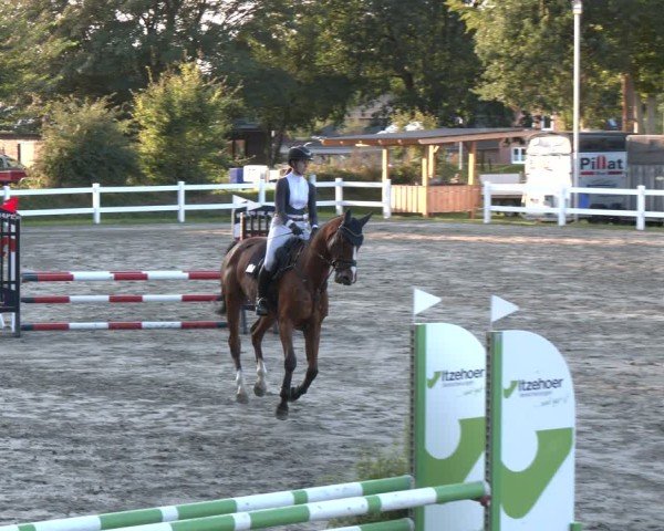 Reitturnier Springturnier Mildstedt 2024