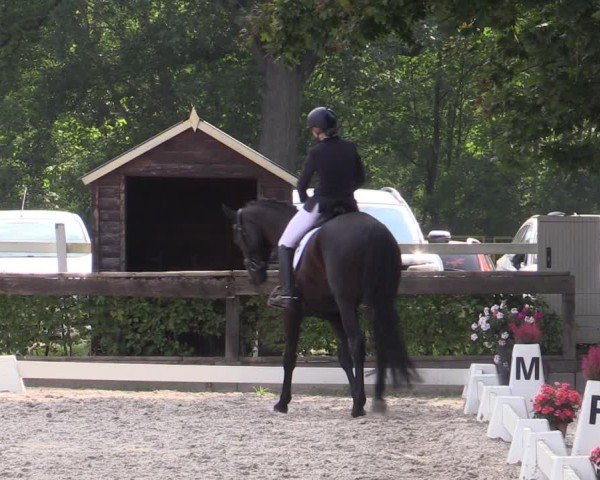 Reitturnier Müncheberg 2024