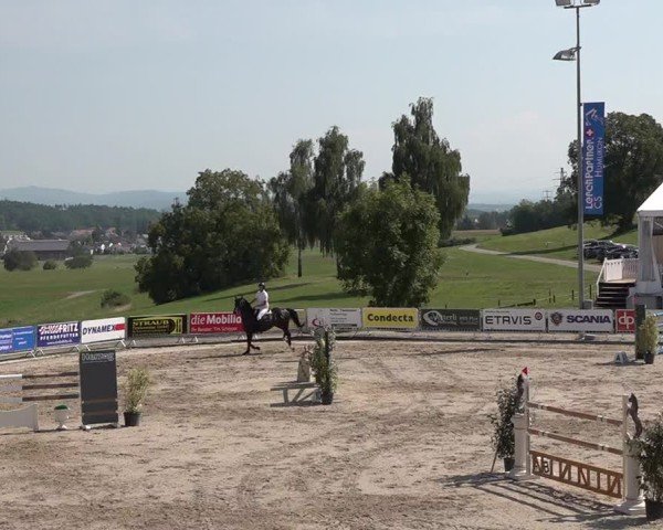 Jezdecký turnaj Humlikon 2024