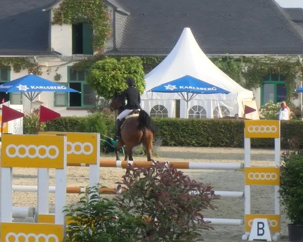 Reitturnier St.Wendel, Gestüt Welvert 2024