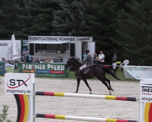 Reitturnier Pietzpuhl 2024