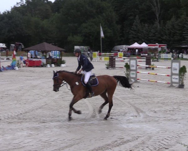 Reitturnier Pietzpuhl 2024