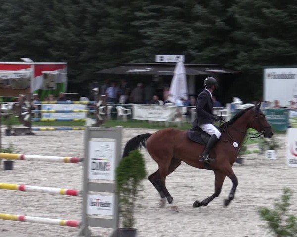 Reitturnier Pietzpuhl 2024