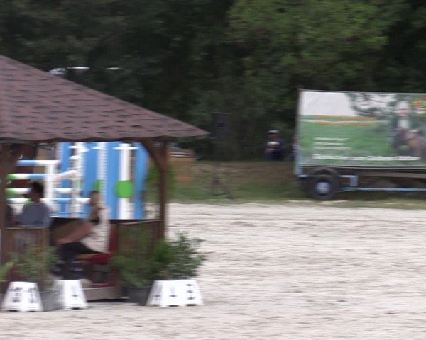 Reitturnier Pietzpuhl 2024