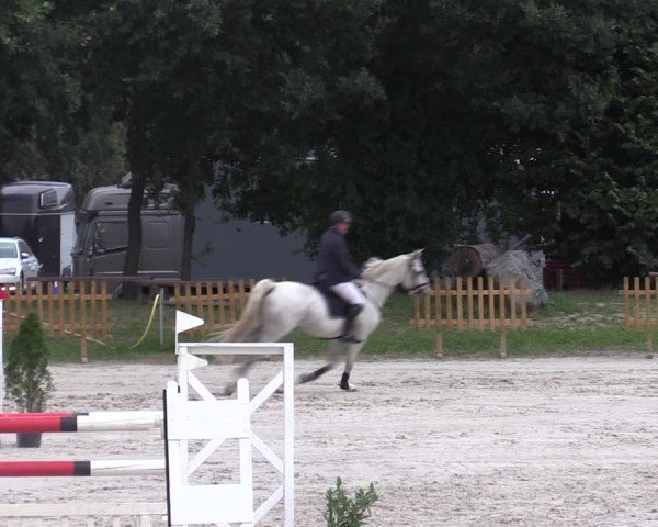 Reitturnier Pietzpuhl 2024