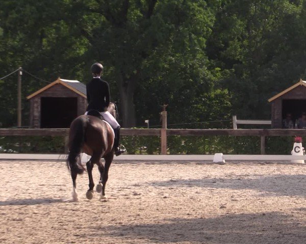 Reitturnier Müncheberg 2024