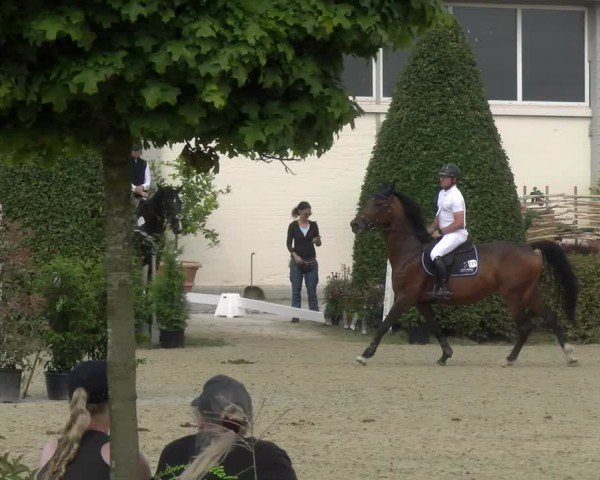 Reitturnier St.Wendel, Gestüt Welvert 2024