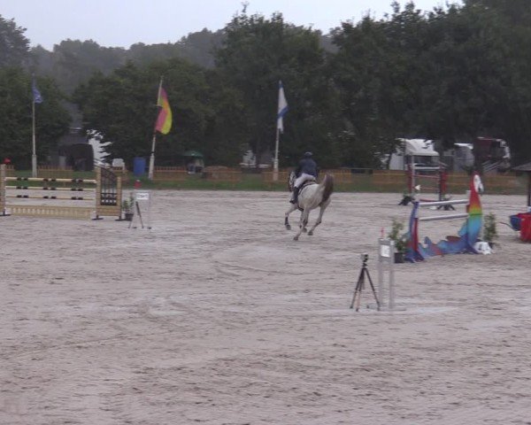 Reitturnier Pietzpuhl 2024