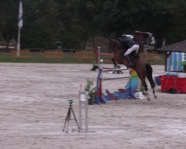 Reitturnier Pietzpuhl 2024