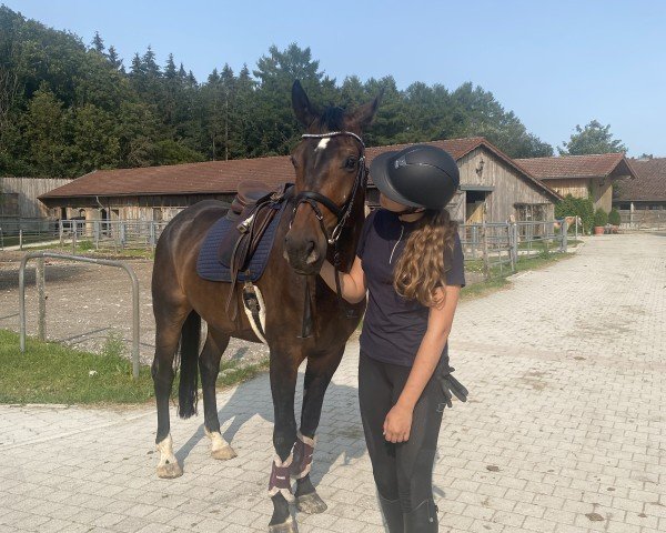 horse Freaky Friday Eb (Hanoverian, 2017, from For Romance I)