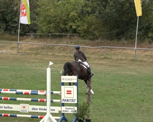 Reitturnier Dannenberg 2024