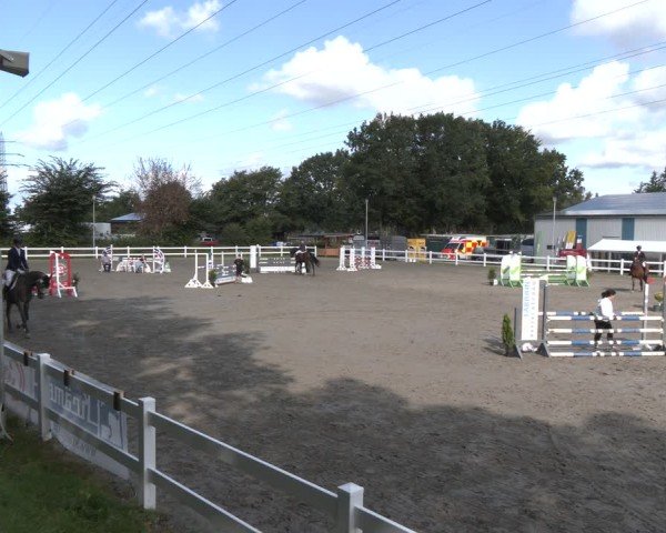 Reitturnier Springturnier Mildstedt 2024