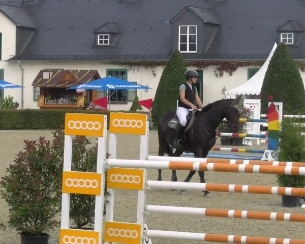 Reitturnier St.Wendel, Gestüt Welvert 2024