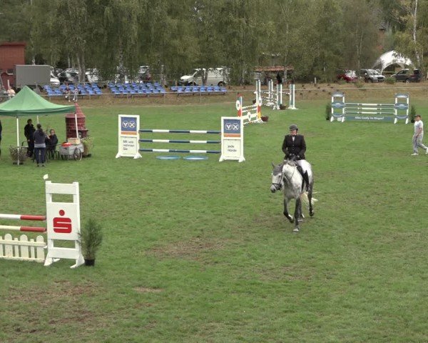 Reitturnier Dannenberg 2024