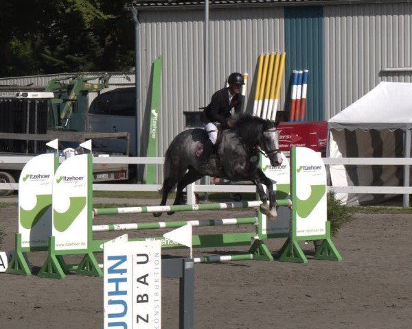 Reitturnier Springturnier Mildstedt 2024