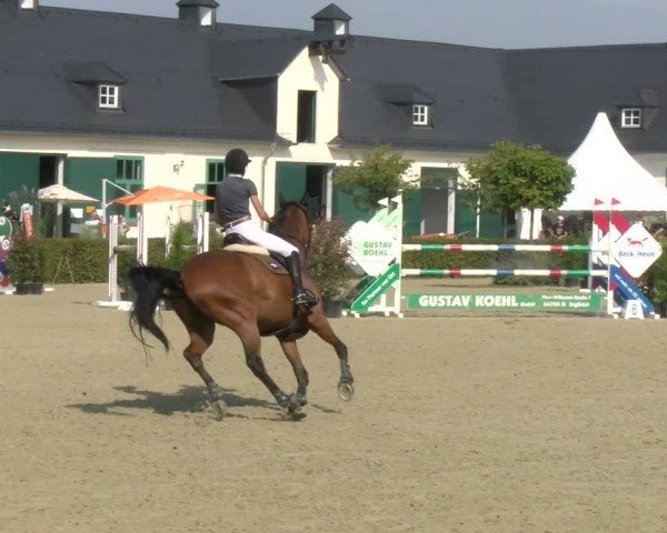 Reitturnier St.Wendel, Gestüt Welvert 2024