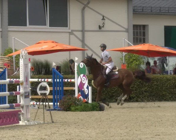Reitturnier St.Wendel, Gestüt Welvert 2024