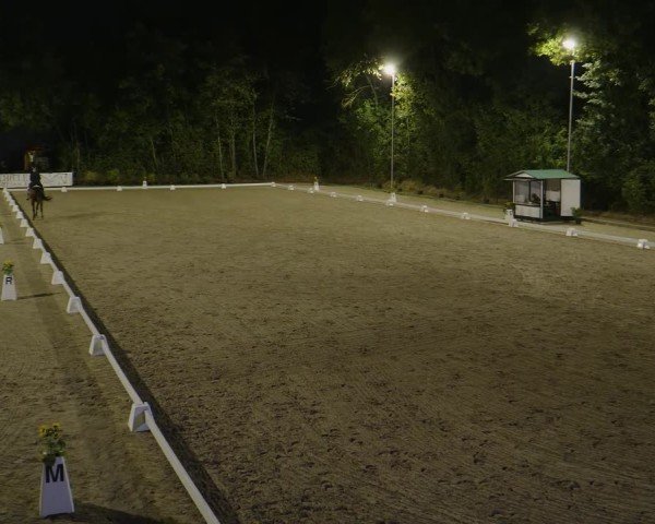 Reitturnier Köln-Flittard (Scheuerhof) 2024