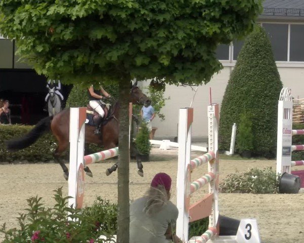 Reitturnier St.Wendel, Gestüt Welvert 2024
