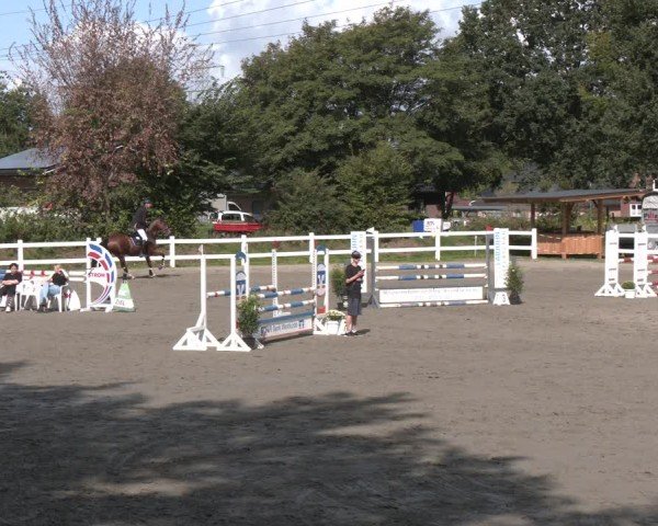 Reitturnier Springturnier Mildstedt 2024