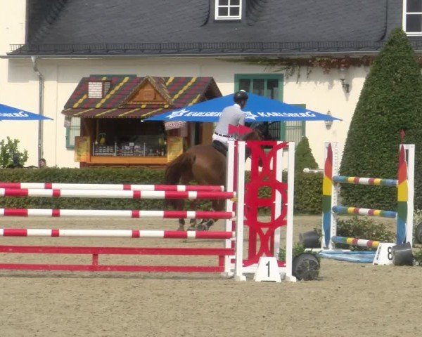 Reitturnier St.Wendel, Gestüt Welvert 2024