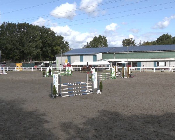 Reitturnier Springturnier Mildstedt 2024