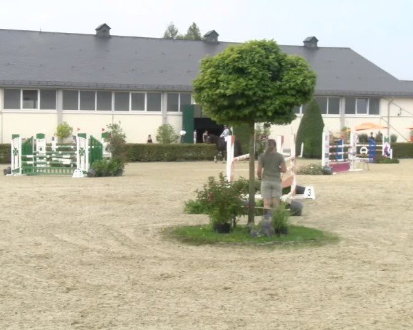 Reitturnier St.Wendel, Gestüt Welvert 2024