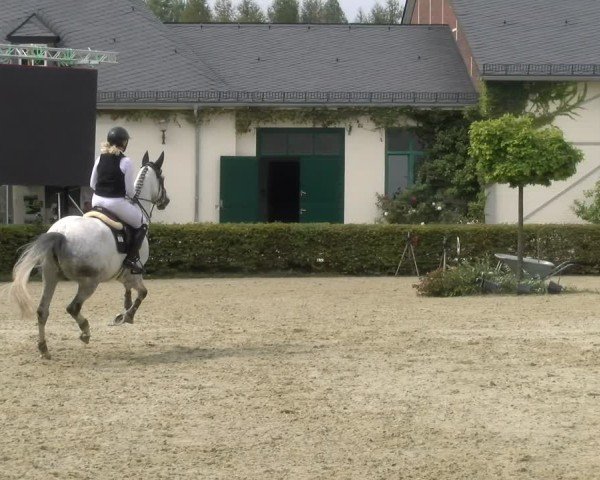 Reitturnier St.Wendel, Gestüt Welvert 2024