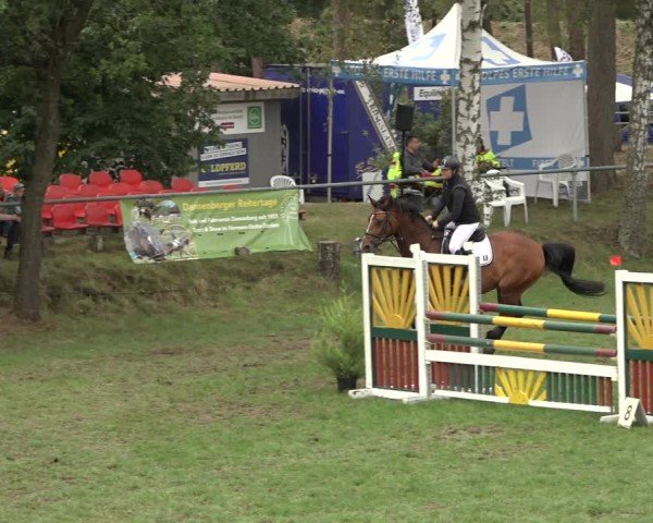 Reitturnier Dannenberg 2024