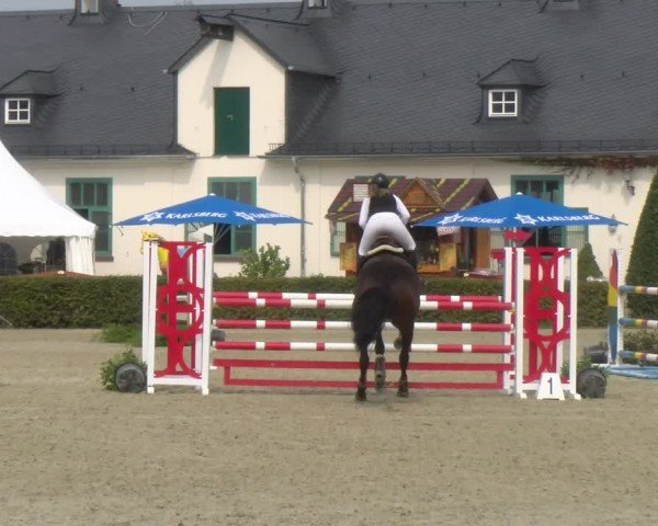 Reitturnier St.Wendel, Gestüt Welvert 2024